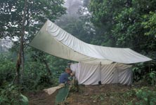 bird tent.jpg - 42528 Bytes